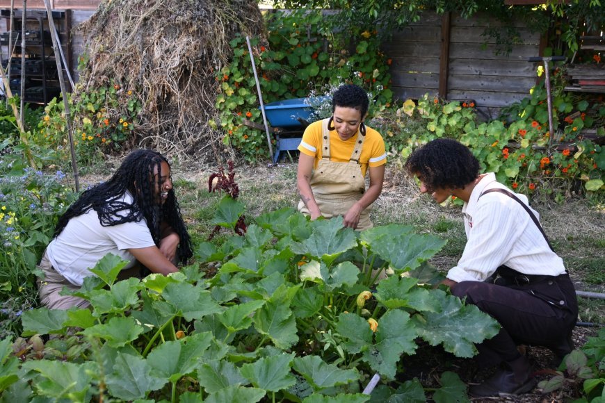 Reclaiming food sovereignty: How Feed Black Futures is challenging structural racism through food justice